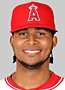 MLB Poll 4/23/10 Photo
