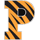 Princeton